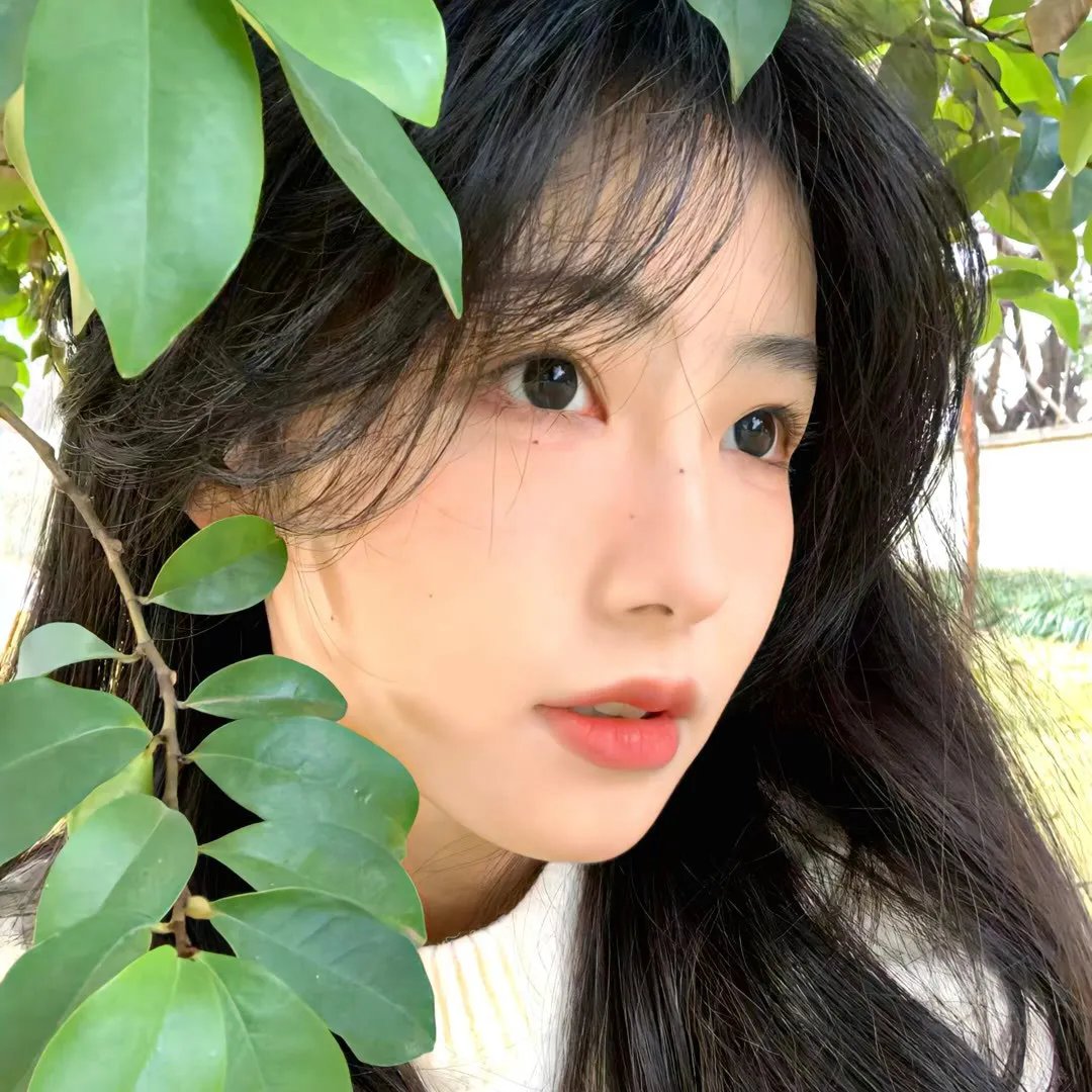 仙君有劫